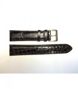 CORREA COCODRILO LEGITIMO 2031