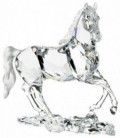 CABALLO STALLION 898508