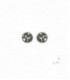 PENDIENTES PLATA, ORO Y BRI. 0,05 CTS 14583